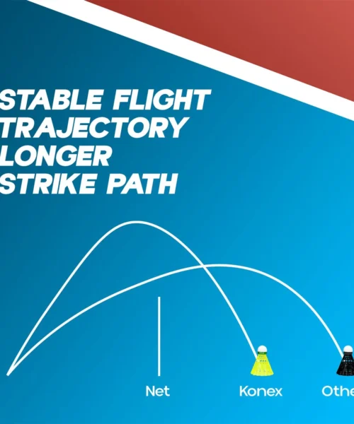 shuttlecock-for-badminton-game webp