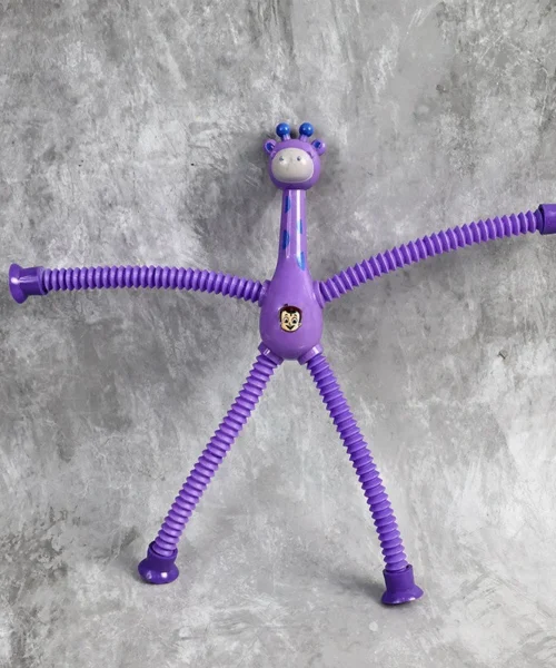 spring-toy-for-kids webp