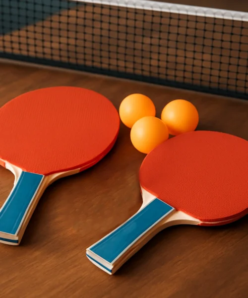table-tennis-racket webp
