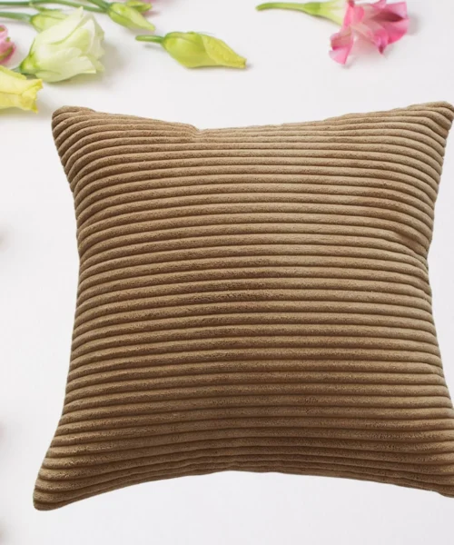 throw-pillow-cover webp
