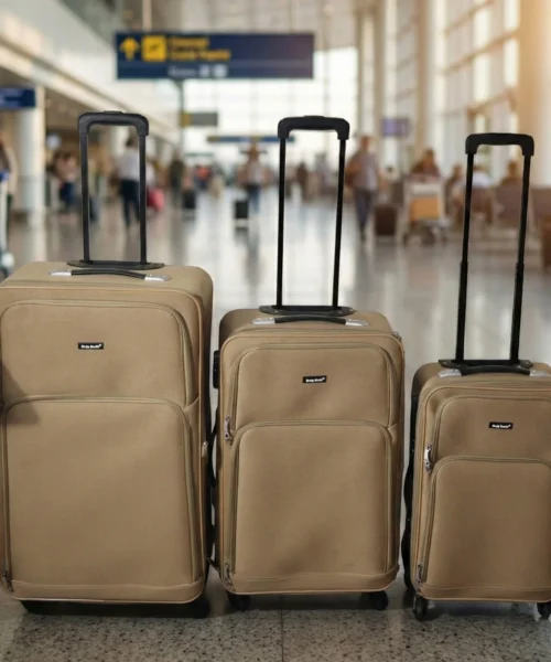 trolley-luggage webp