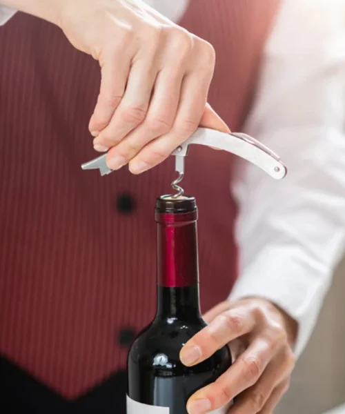 wine-bottle-opener-set webp